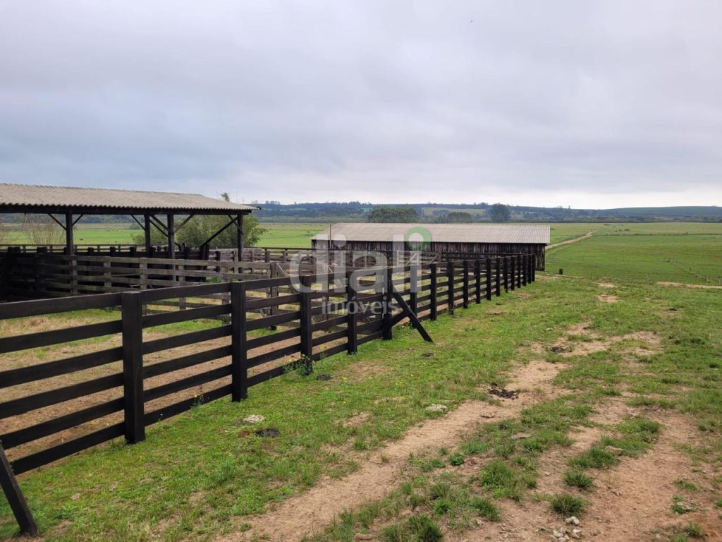 0c155707-95ba-4eb1-8469-0a570a93dd48