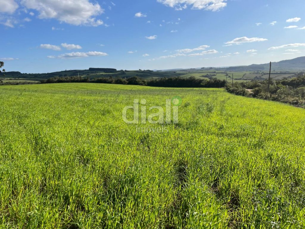 316c7dd1-ef73-4aaa-a8be-9c8527dc7163