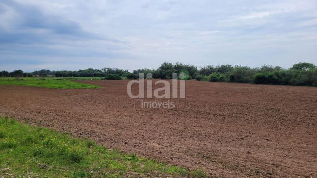 SÍTIO DE 8,5HA À VENDA NO PASSO RASO EM TRIUNFO-RS