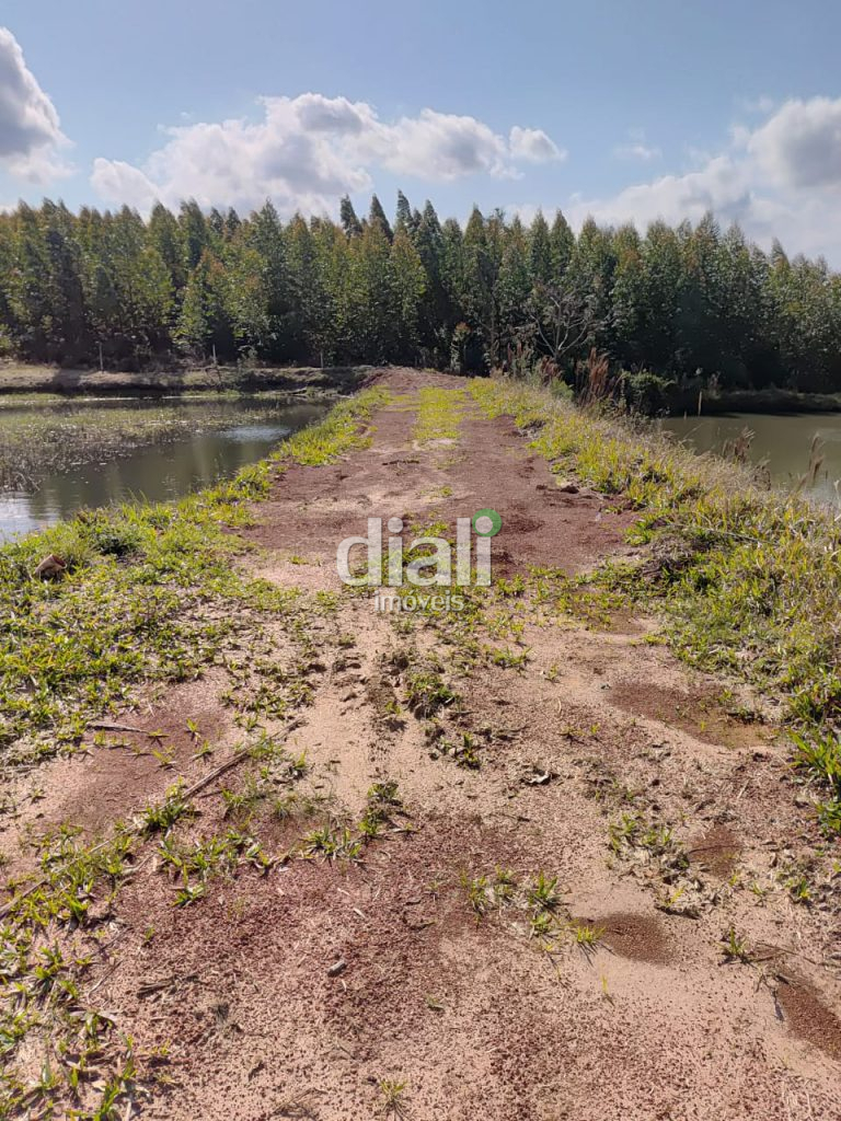 WhatsApp Image 2025-11-03 at 08.40.31