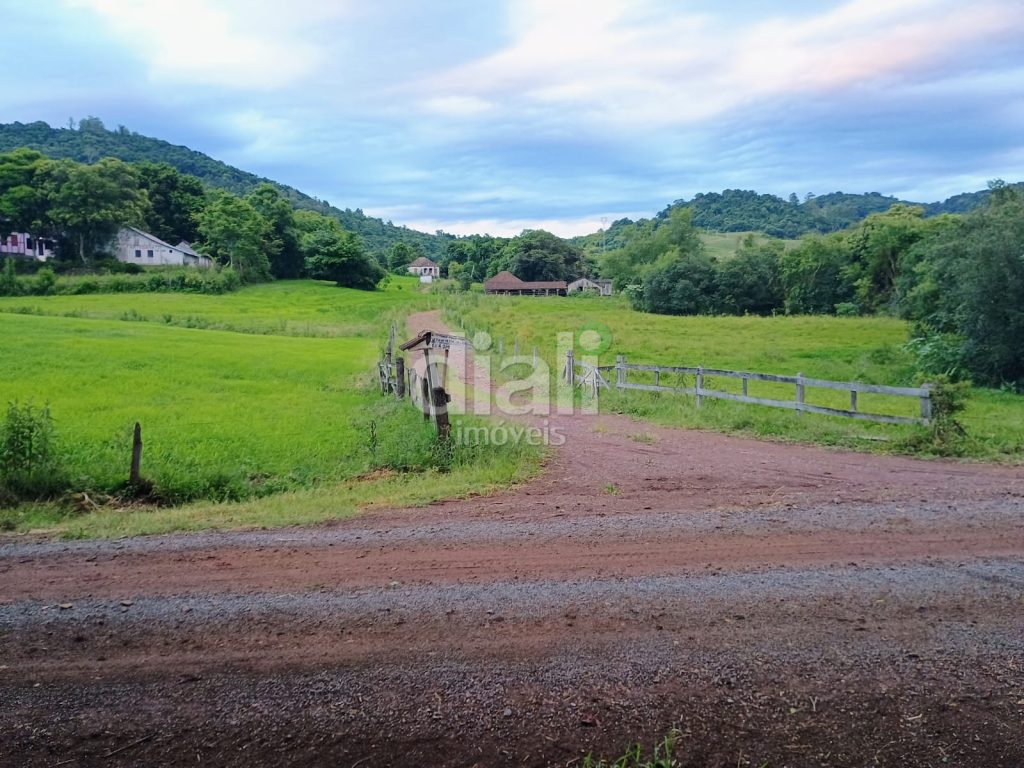 WhatsApp Image 2025-11-17 at 11.43.56