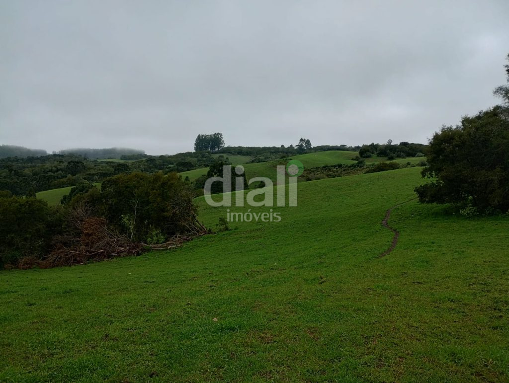 WhatsApp Image 2026-03-05 at 17.14.12 (3)