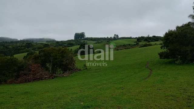 ÁREA RURAL COM 50 HA EM SANTANA DA BOA VISTA-RS.